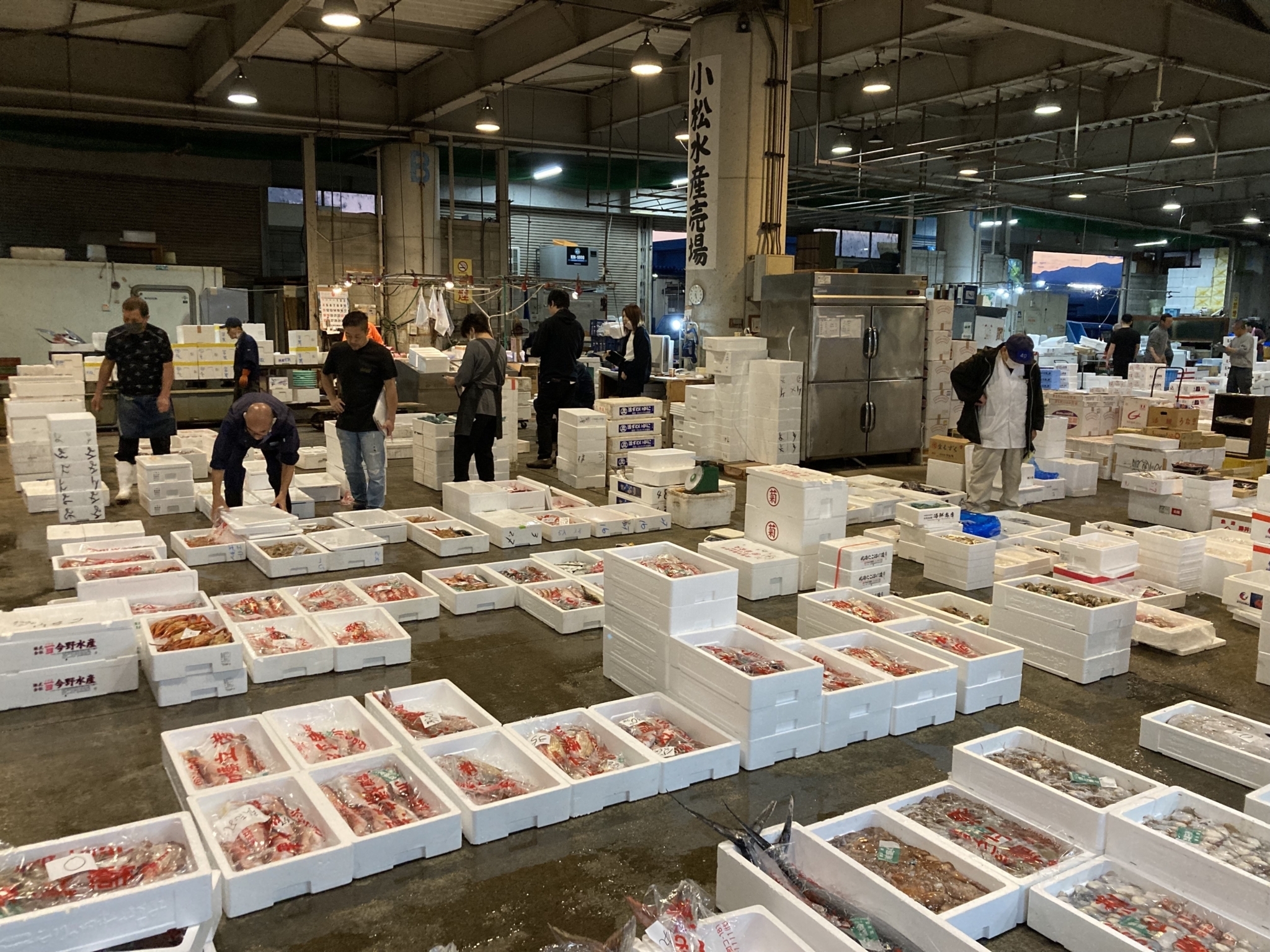 福島 知朗 南加賀公設地方卸売市場（金沢より南へ30km）では、今日ものどぐろやタイ、甘海老といった新鮮な海の幸が上場されています。